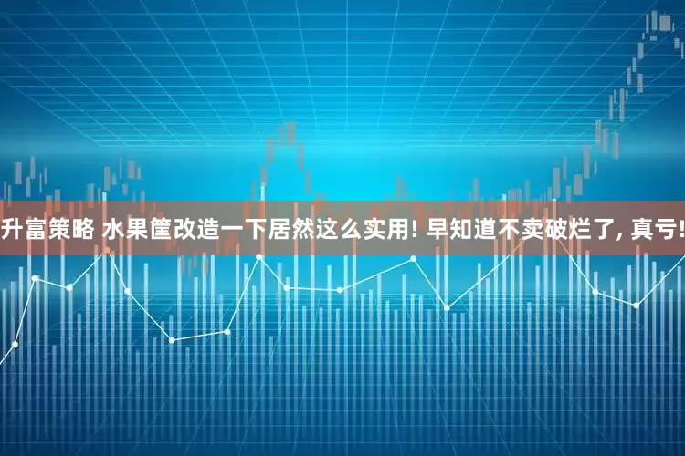 升富策略 水果筐改造一下居然这么实用! 早知道不卖破烂了, 真亏!